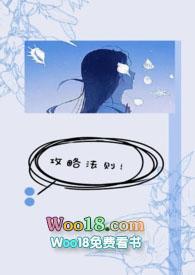 攻略定义