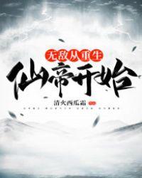 无敌从仙尊奶爸开始笔趣阁无弹窗
