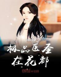 极品医圣都市