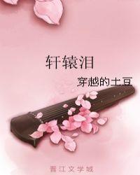 轩辕泪 穿越的土豆
