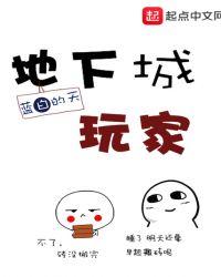 地下城玩家全文阅读