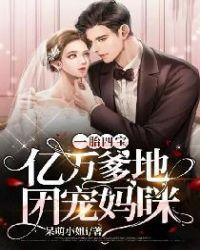 一胎四宝亿万爹地全文免费阅读