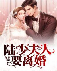 陆少夫人又上热搜了免费阅读