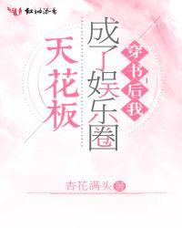穿书后我成了娱乐圈天花板全文