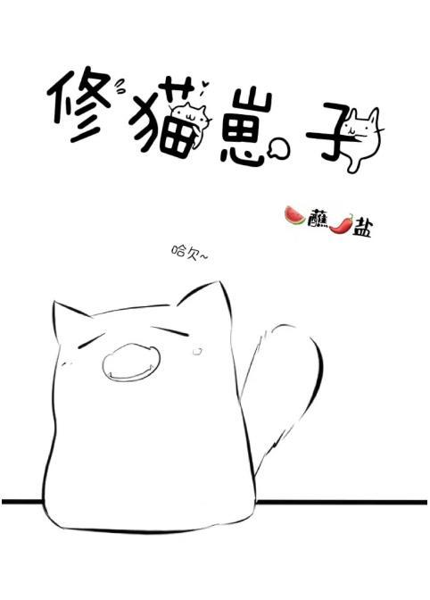 猫崽崽怎么养