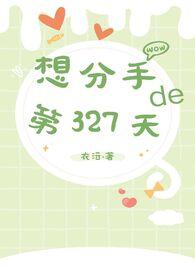 想分手的327天