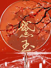 综红楼之逆转人生txt