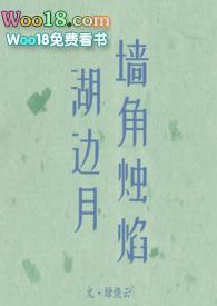 墙角烛焰湖边月作者绿烧云