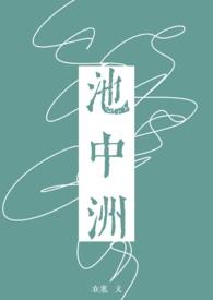 池中洲沈临渊