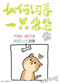 怎么才能养好柴犬