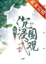红楼沉浸式围观吐槽