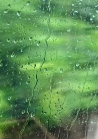雨季全文阅读免费