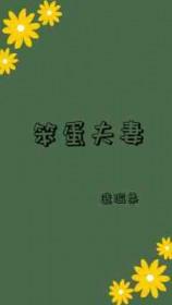笨蛋百科