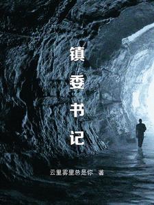 黄伟明里水镇委书记