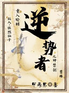 逆势者彼得·蒂尔传阅读