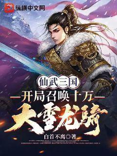 仙武三国无限升级