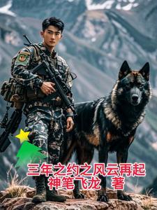 萧炎三年之约多少集