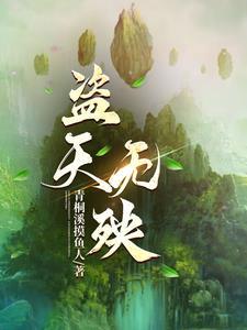 盗以天机
