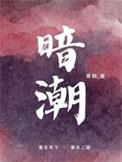 暗潮帝国版和普通版区别