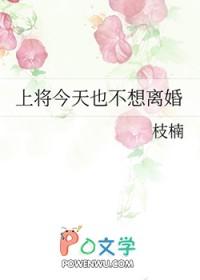 上将夫人不许逃