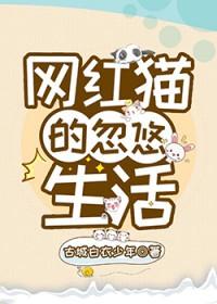 网红猫的忽悠生活杏逐桃