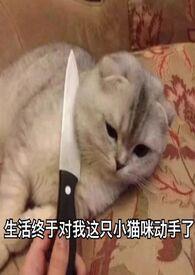 旧爱刚走新欢不止