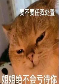 论女a与哨向的兼容性dreamic