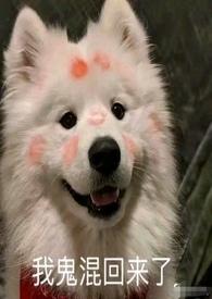 就范是贬义还是褒义