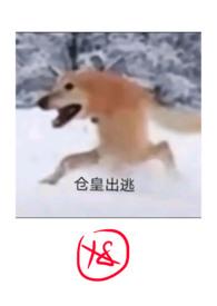 沦为废物后的嚣张女仙子