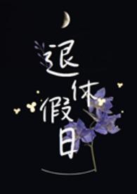 退休假日h1v1