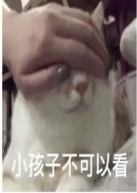 圈养蔷薇np大结局