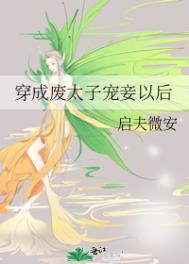 穿成废太子宠妾以后 启夫微安