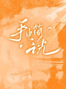 手电筒光源类型