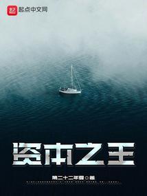 资本之王ppt
