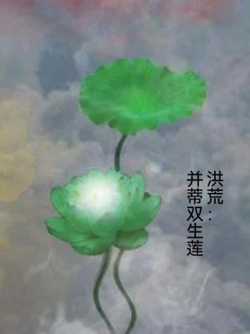 洪荒之双修大赛