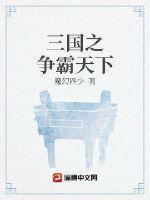 三国之霸天下