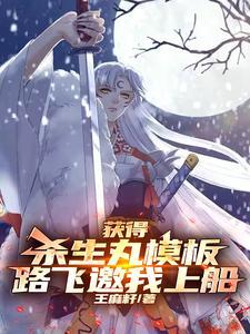 杀生丸会飞