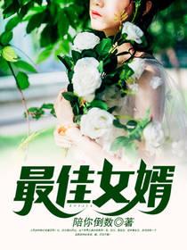 最佳女婿、免费阅读
