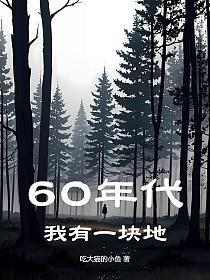 60年代我有一块地作者 吃大猫的小鱼