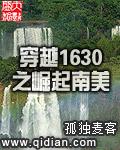 穿越1630之崛起南美洲地图