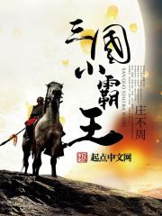 小霸王三国单机游戏