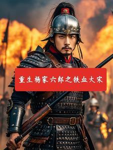 铁血杨家将动画片全集