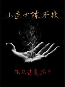 小道士陈不欺女主