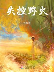 失控厉火怎么完成