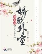 我成了新帝的外室免费阅读