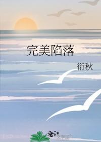完美降落电视剧