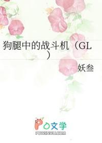 419 狗腿中的战斗机
