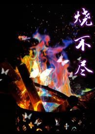烧不尽最新章节