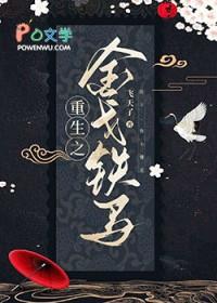 重生之金戈铁马by飞