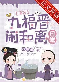 有关九福晋的清穿